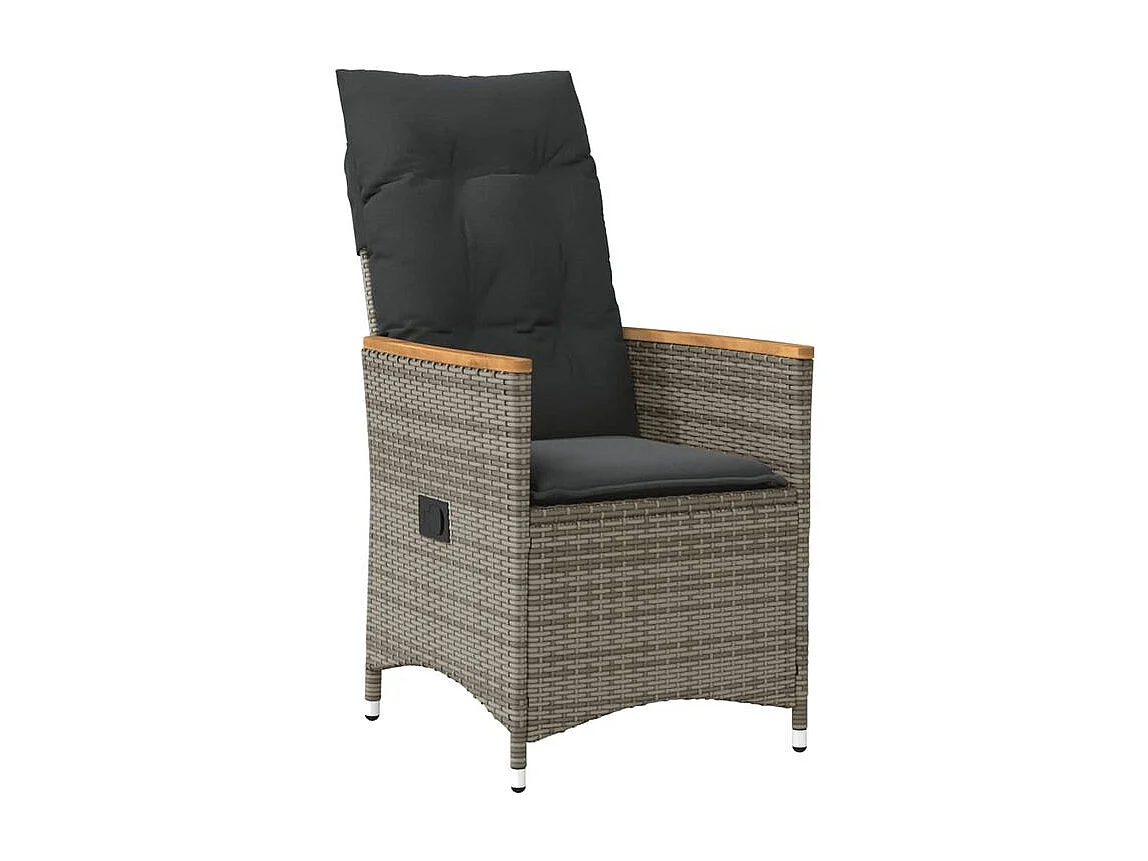 Chaises inclinables de jardin lot de 2 et coussins gris rotin