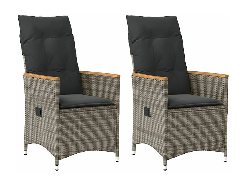 Chaises inclinables de jardin lot de 2 et coussins gris rotin