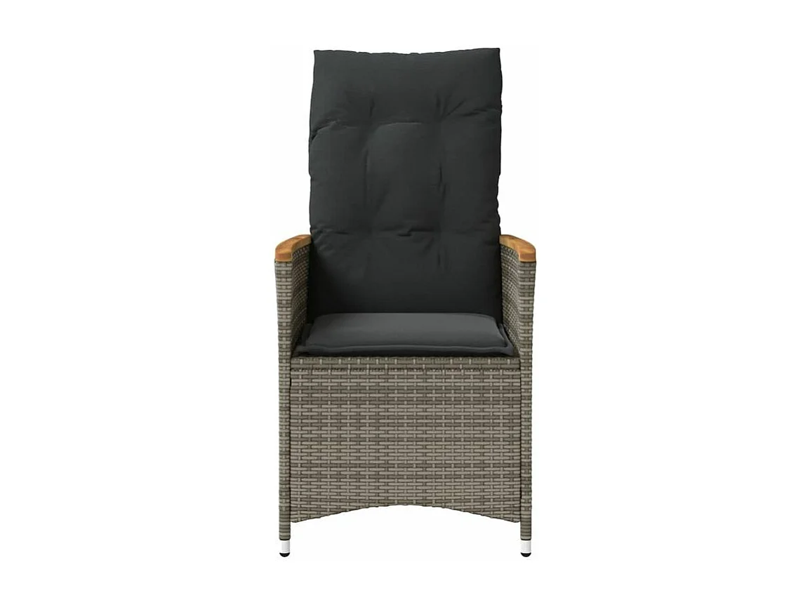 Chaises inclinables de jardin lot de 2 et coussins gris rotin