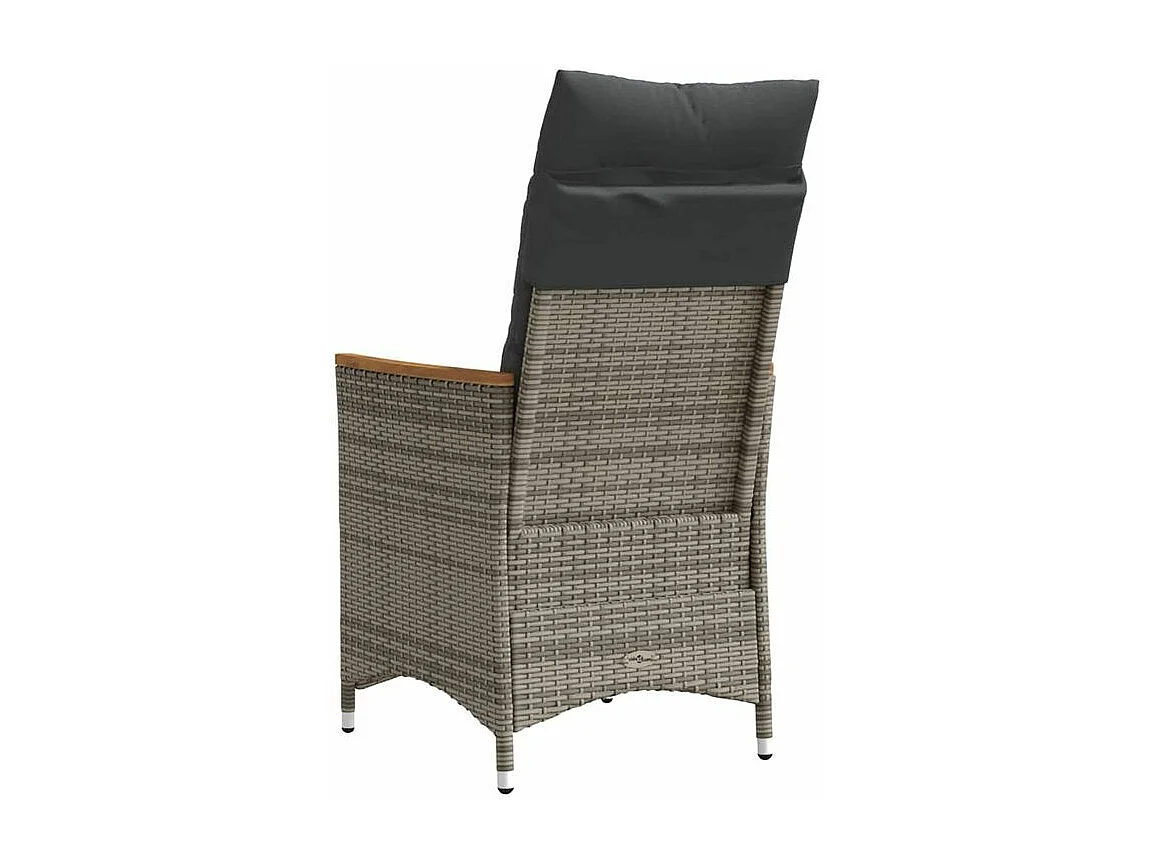 Chaises inclinables de jardin lot de 2 et coussins gris rotin