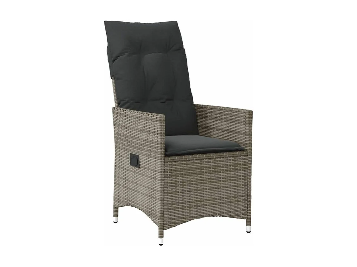 Chaises inclinables de jardin lot de 2 et coussins gris rotin