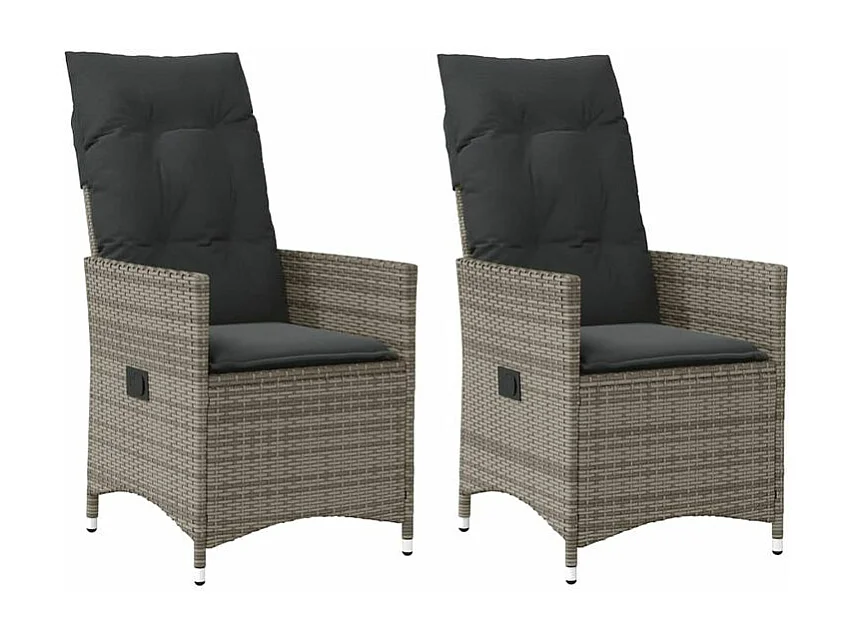 Chaises inclinables de jardin lot de 2 et coussins gris rotin