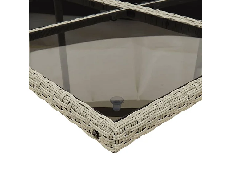 Ensemble à manger de jardin et coussins 13 pcs gris clair rotin