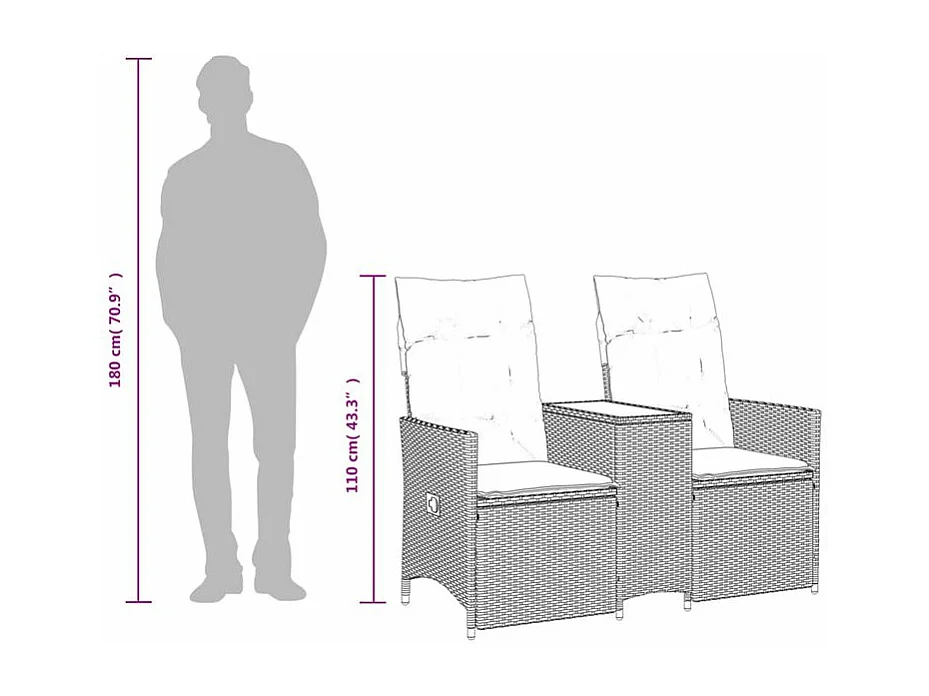 Canapé de jardin inclinable 2 places avec table noir poly rotin
