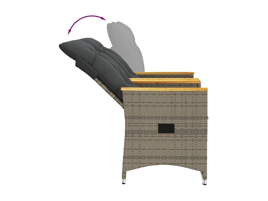 Canapé de jardin inclinable 2 places avec table gris poly rotin