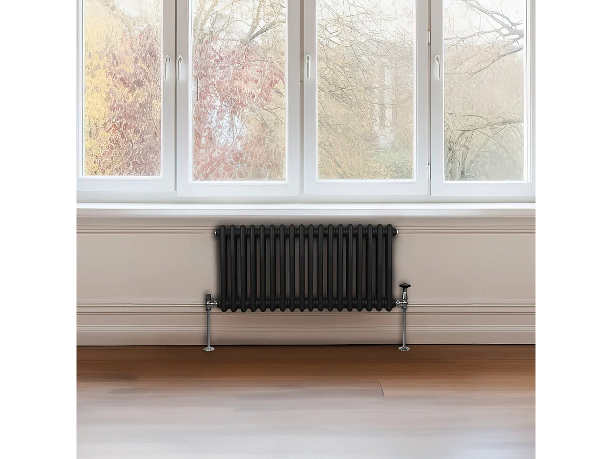 Traditionel 2-søjlet radiator - 300 x 832 mm - Sort