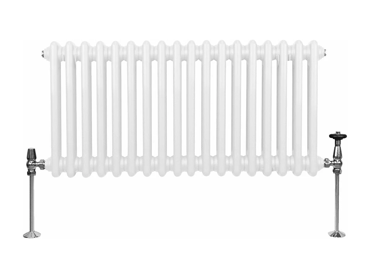 Radiateur Traditionnel à Double Colonne – 300 x 832 mm – Blanc