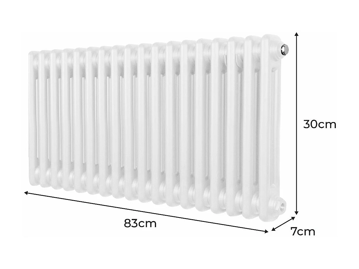 Radiateur Traditionnel à Double Colonne – 300 x 832 mm – Blanc
