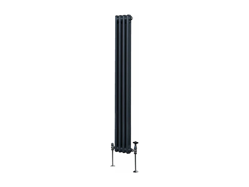 Radiateur Traditionnel à Double Colonne – 1800 x 202 mm – Gris Anthracite
