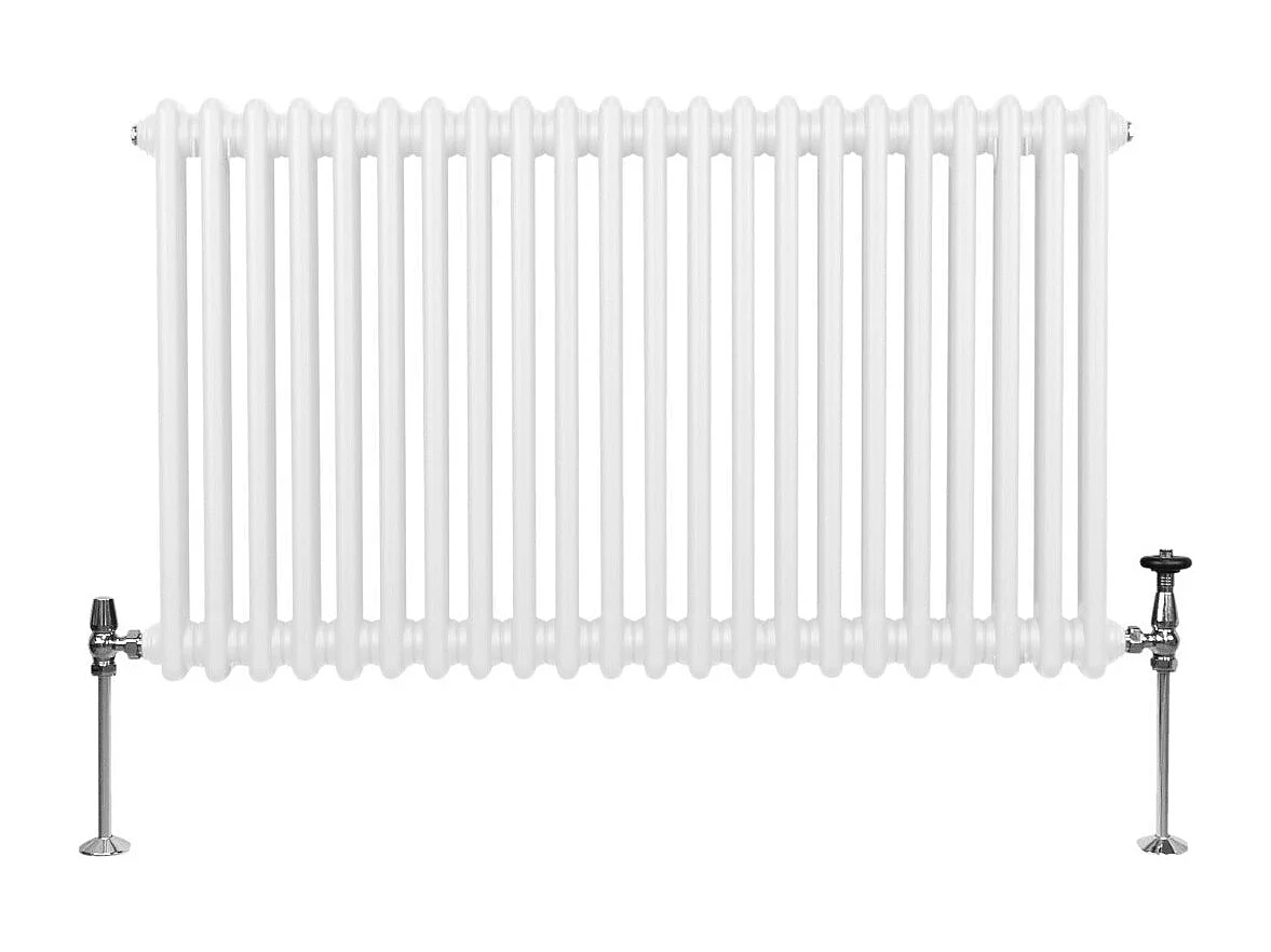 Traditioneller 2-Spalten-Heizkörper - 600 x 1012 mm - Weiß