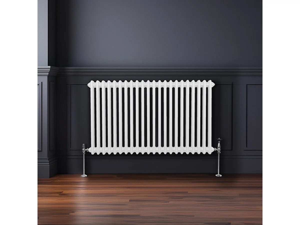 Traditioneller 2-Spalten-Heizkörper - 600 x 1012 mm - Weiß