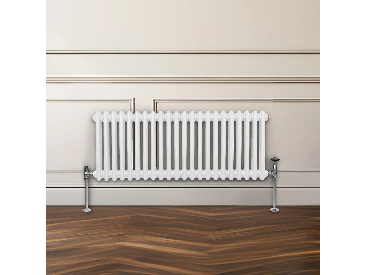 Traditioneller 2-Spalten-Heizkörper - 300 x 1012 mm - Weiß