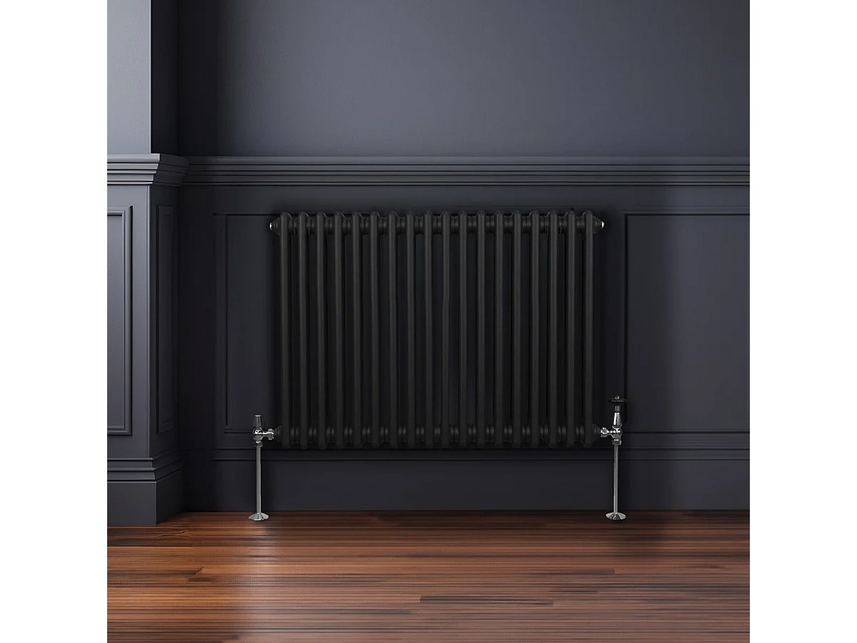 Traditioneller 2-Spalten-Heizkörper - 600 x 832 mm - Schwarz