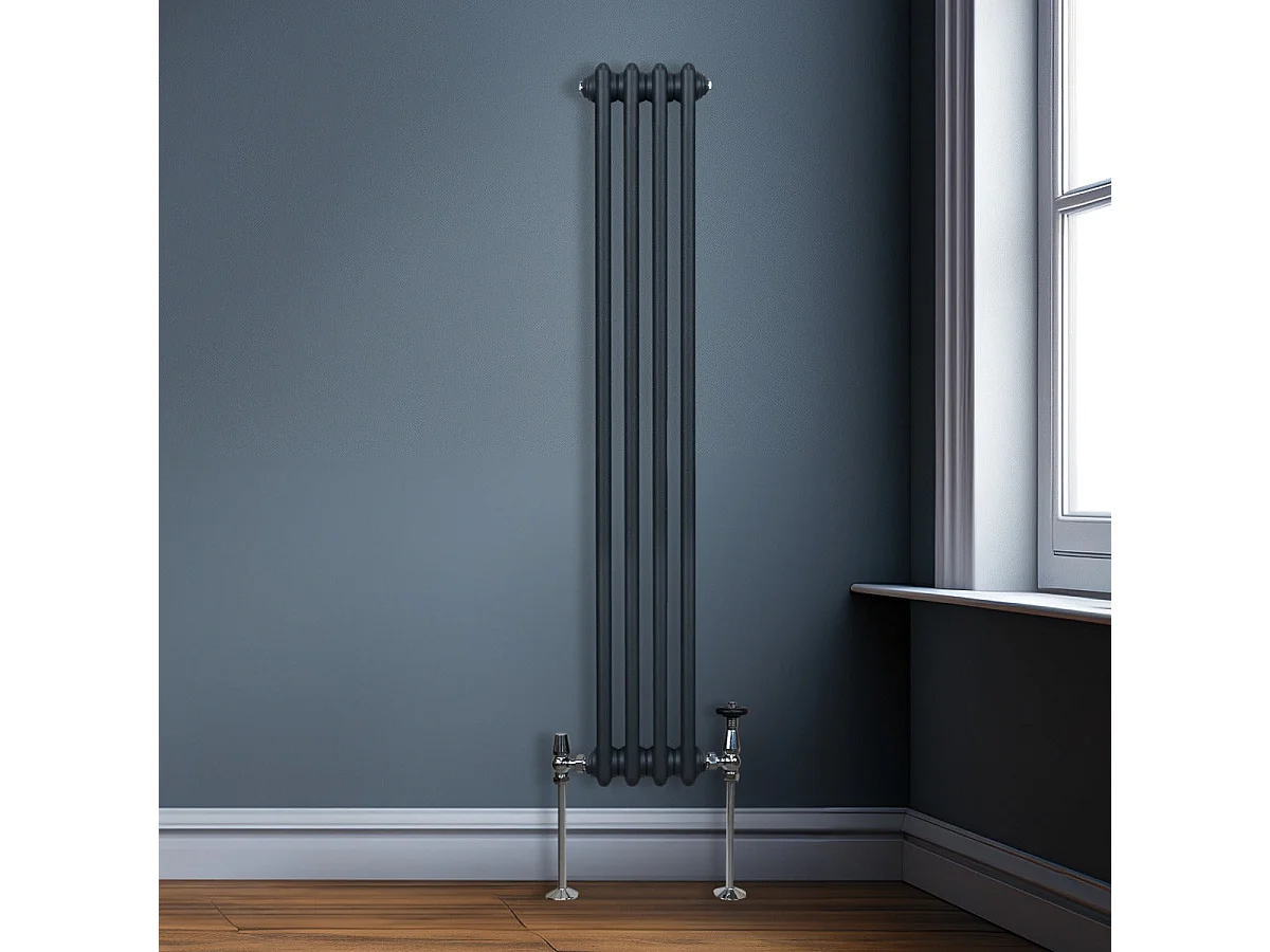 Radiador Tradicional 2 columnas Vertical Gris Antracita 150 x20.2cm
