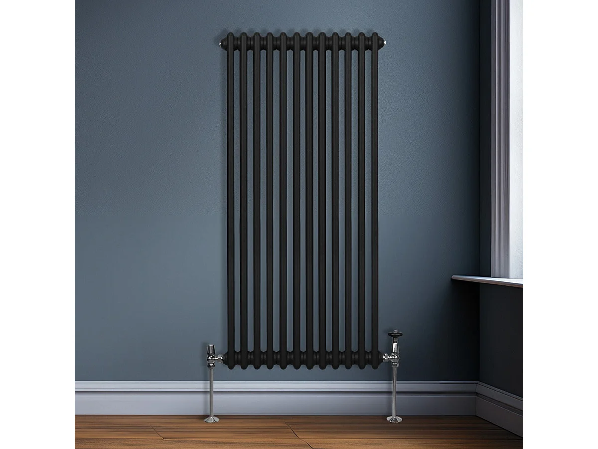 Radiador Tradicional 2 columnas Vertical Negro 150 x56.2cm