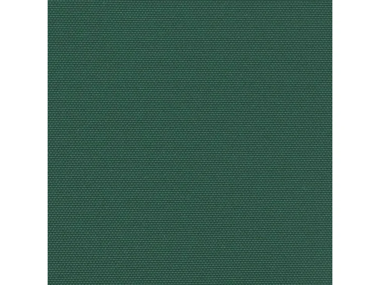 Auvent latéral rétractable vert foncé 160x500