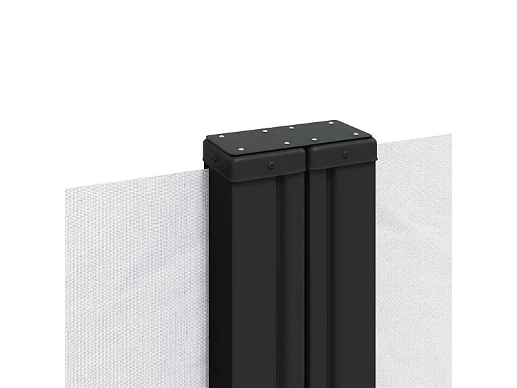 Auvent latéral rétractable blanc 200x600