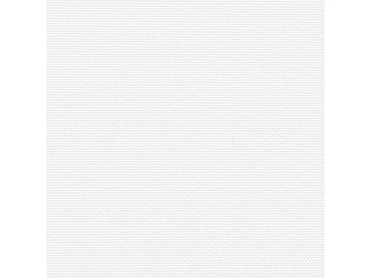 Auvent latéral rétractable blanc 180x600