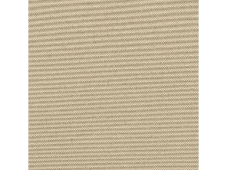 Auvent latéral rétractable beige 160x500
