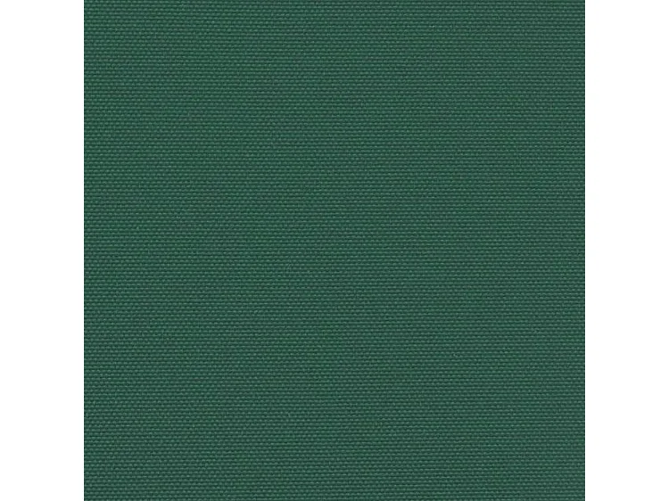 Auvent latéral rétractable vert foncé 220x600
