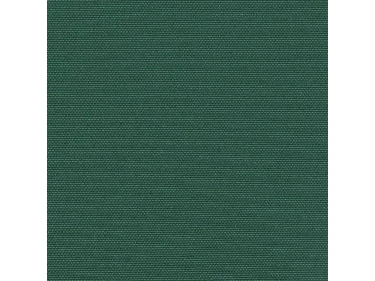 Auvent latéral rétractable vert foncé 140x300