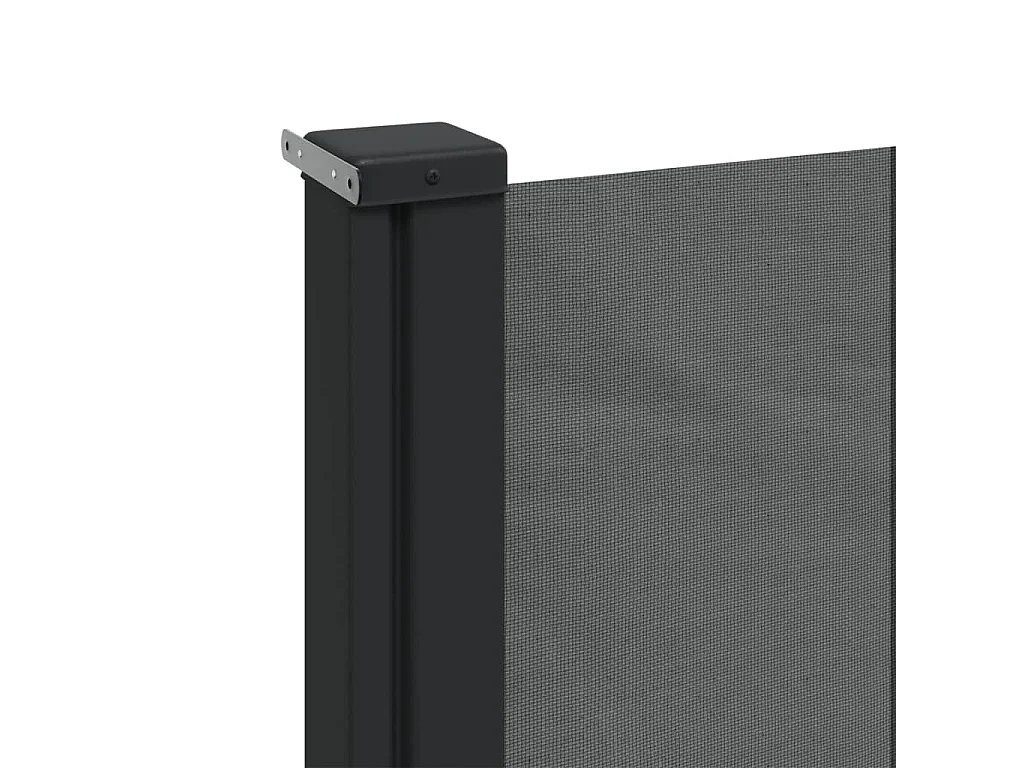 Auvent latéral rétractable anthracite 220x600