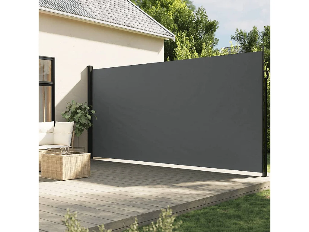 Auvent latéral rétractable anthracite 200x600
