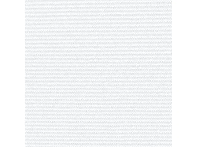 Auvent latéral rétractable blanc 100x300