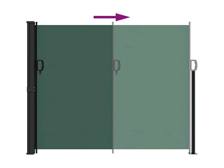 Auvent latéral rétractable vert foncé 170x300