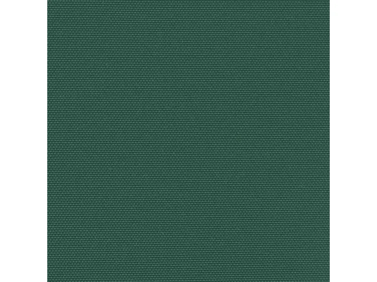 Auvent latéral rétractable vert foncé 170x300