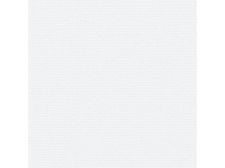 Auvent latéral rétractable blanc 140x500