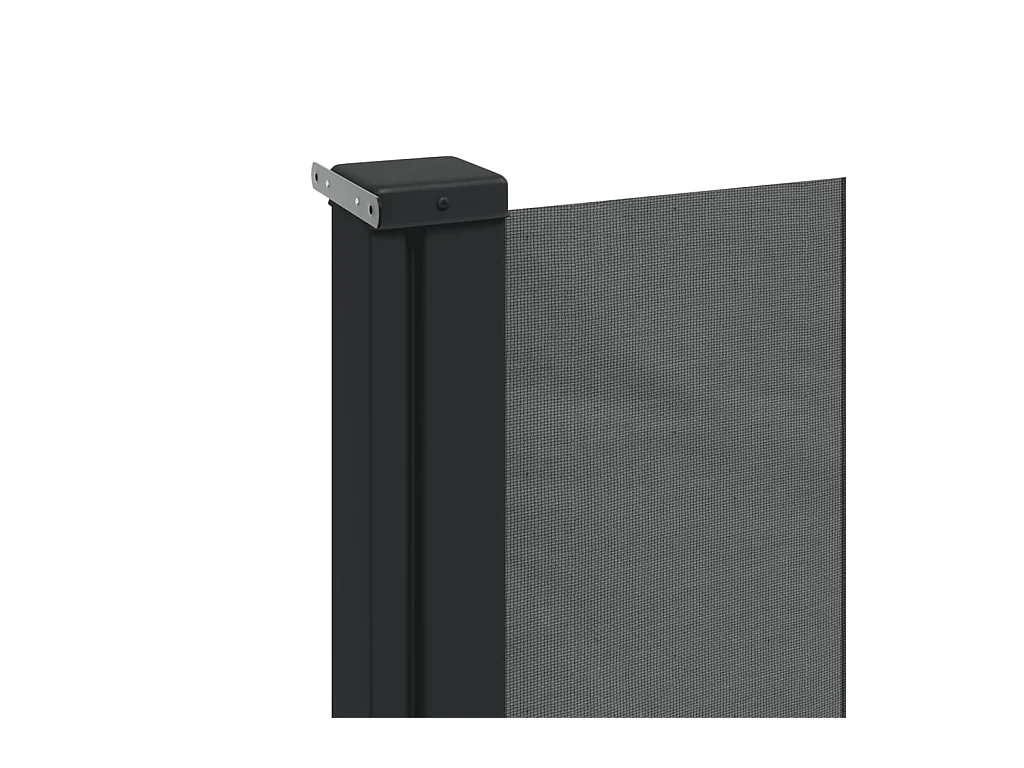 Auvent latéral rétractable anthracite 220x500