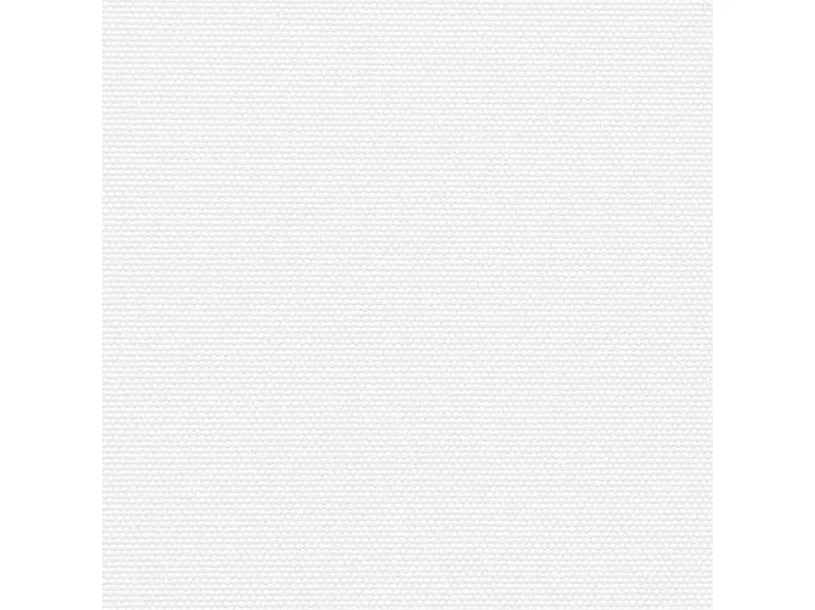 Auvent latéral rétractable blanc 160x1000