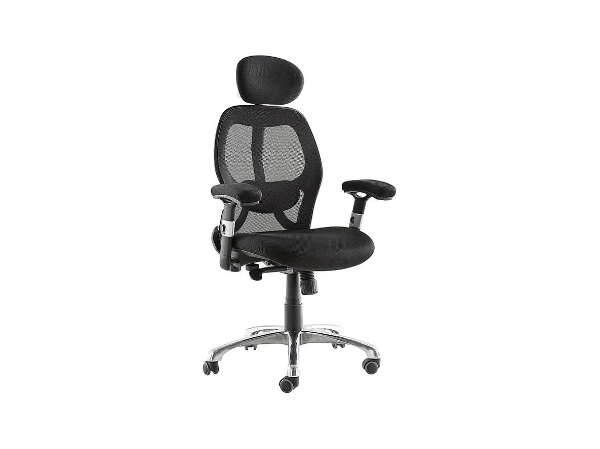 Fauteuil de bureau ergonomique ULTIMATE V2 plus