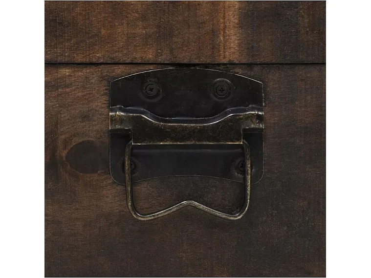 Coffre de rangement bois massif marron Canvas