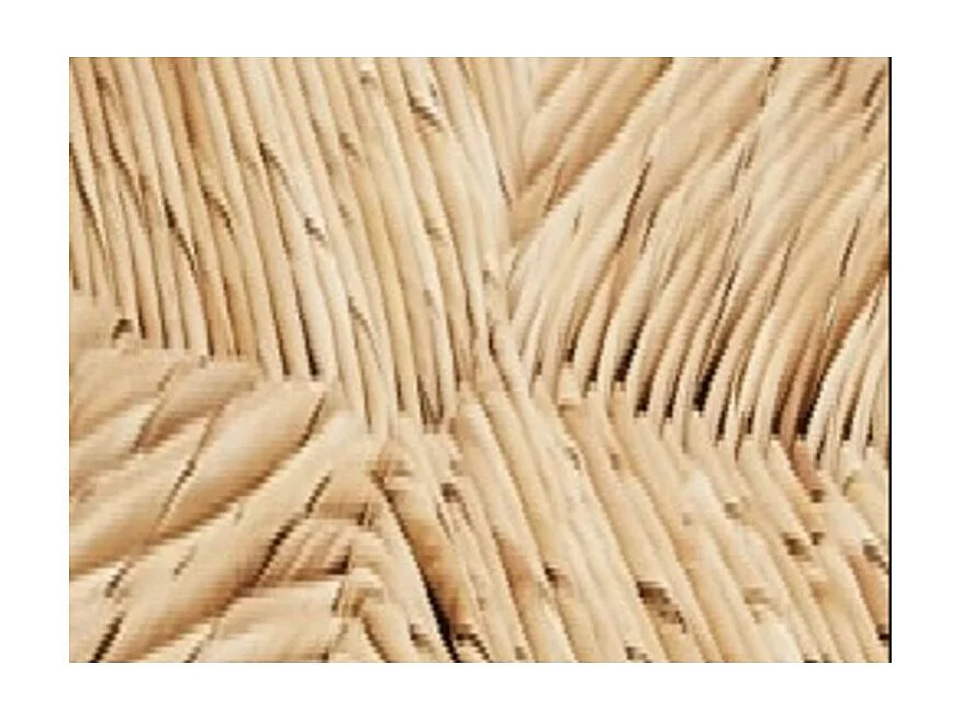 Naturalia stoel van beukenhout en stro - Set van 2-Kleur Oranje