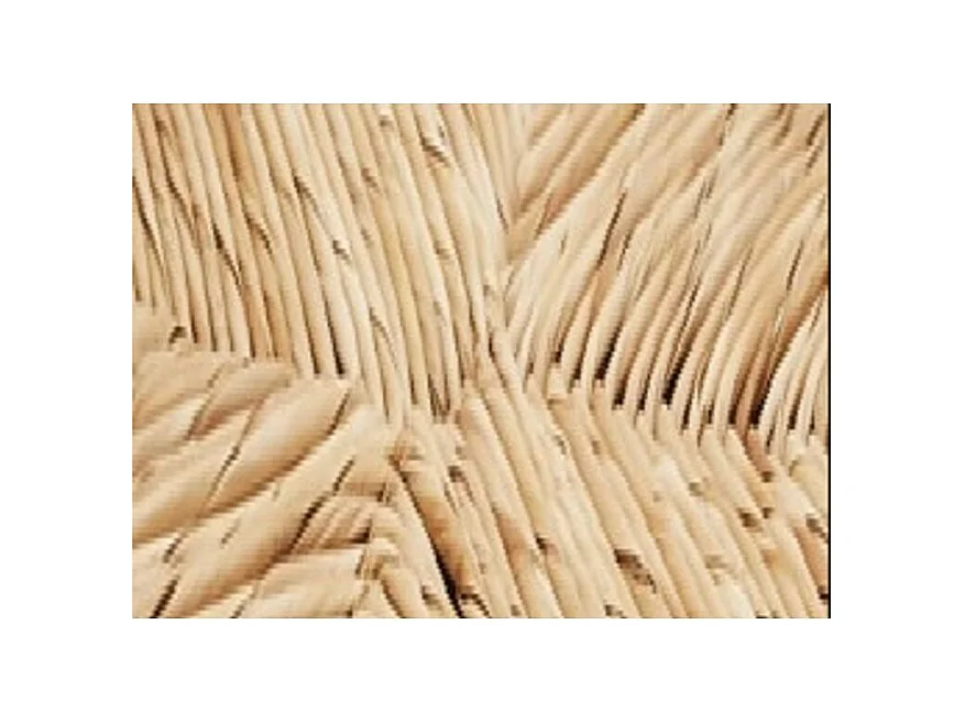 Chaise en bois de hêtre et paille Naturalia - Lot de 2-Couleur Orange