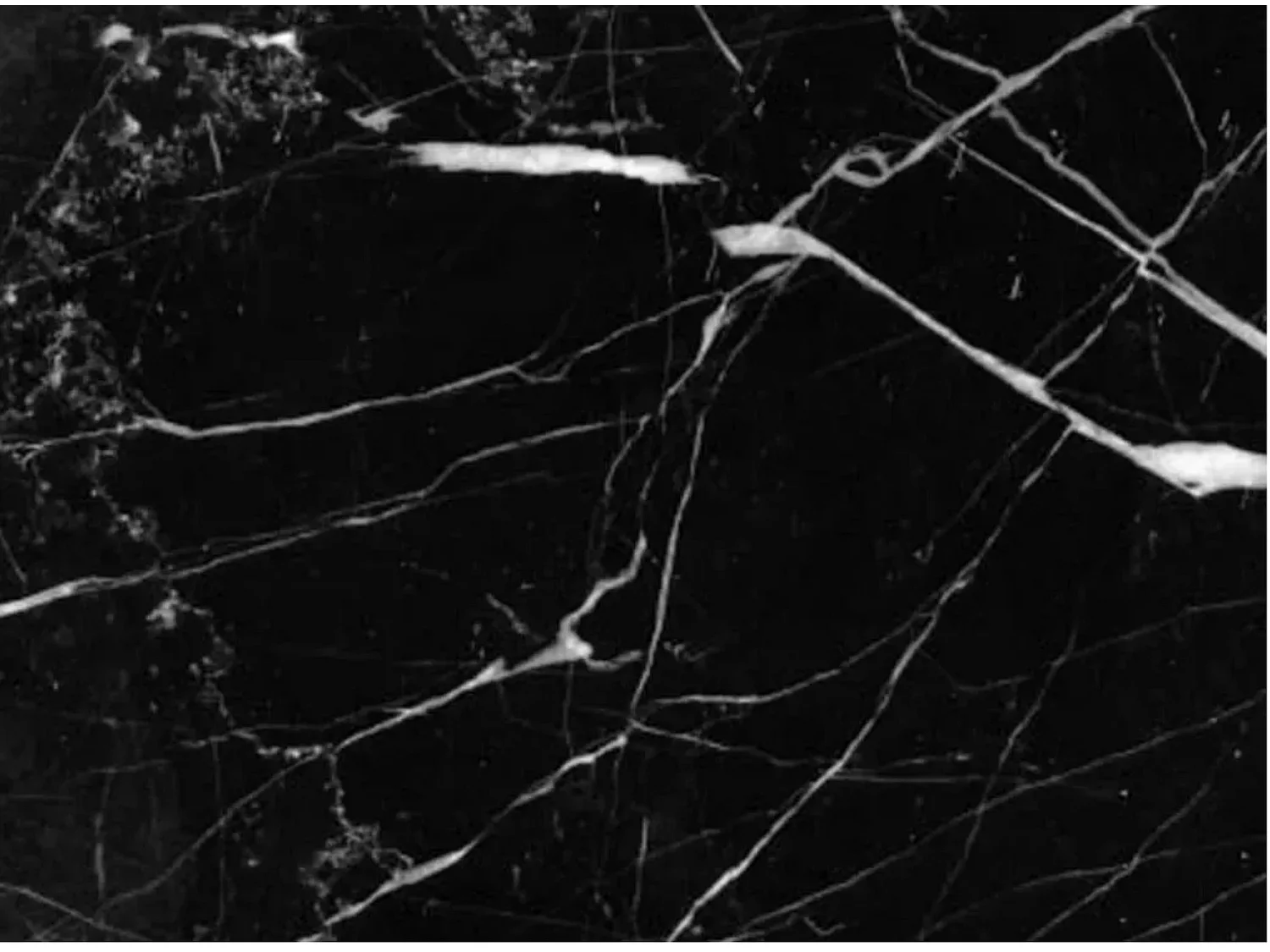 Mesa tulipán ovalada de mármol blanco con base brillante 160 cm-Bandeja Mármol verde alpi-Anchura 220 cm-Color de los pies Negro brillante