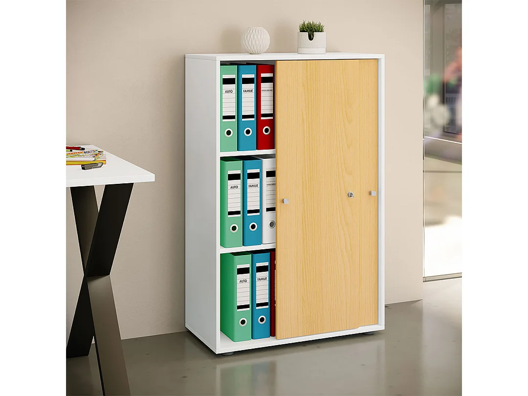 LonaXLST Büroschrank 2 Türen weiß, buche.