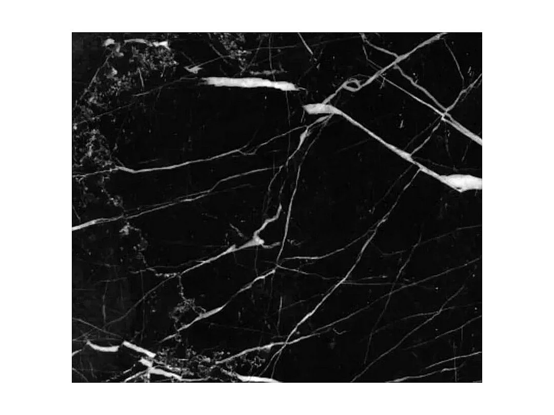 Hoogwaardige ronde marmeren tulpentafel-Plateau Marquinia zwart marmer-Diameter 80cm-Baseren Briljant wit