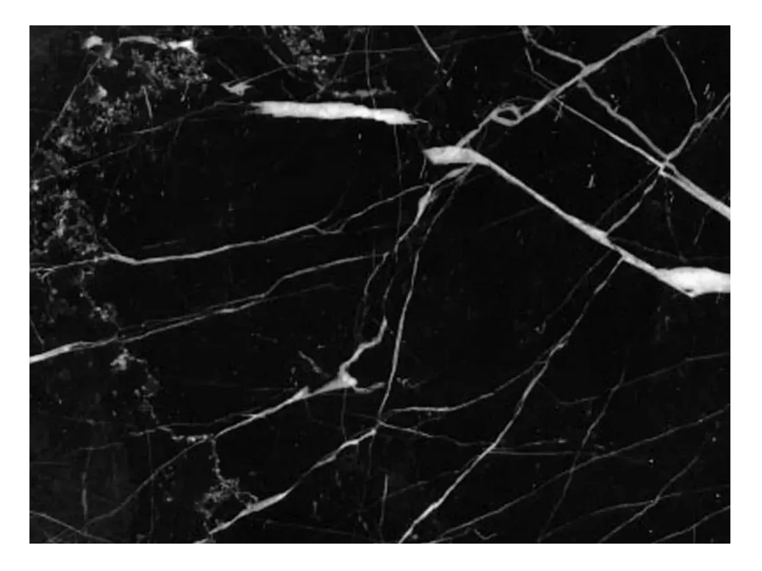 Table tulipe ovale en marbre Haute de gamme-Plateau Marbre noir Marquinia-Largeur 180 cm-Piètement Blanc brillant