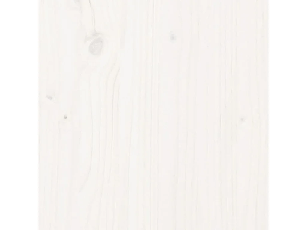 Lit de jour avec lit gigogne blanc 80x200 bois de pin massif
