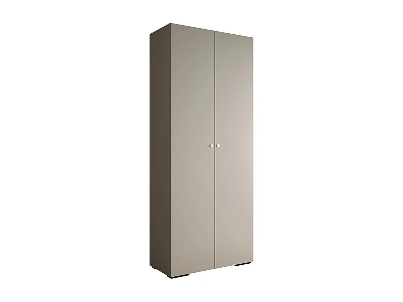 Armadio Inova 2 a ante battenti 236,7/100/47 2 porte (Grigio/D'oro)