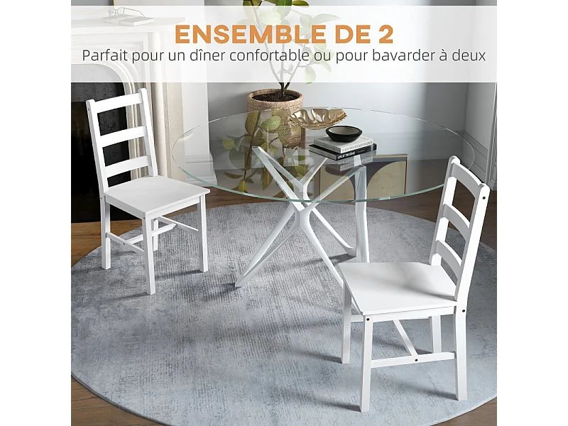 Lot de 2 chaises RODGER blanches