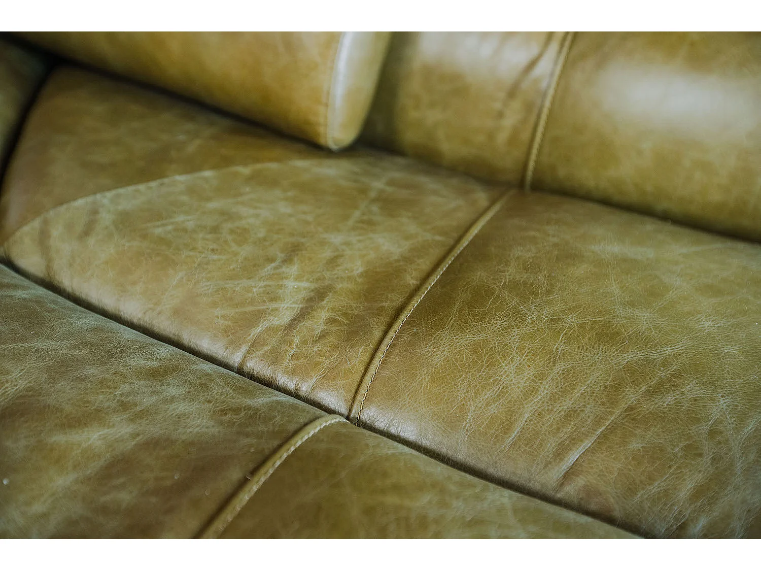 Divano - verde pelle - TARA