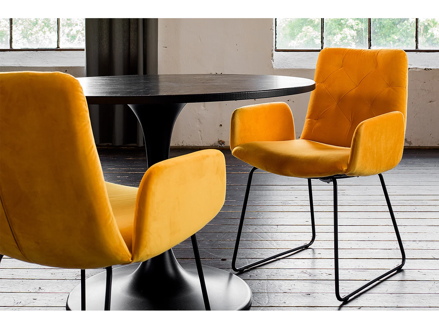 Poltrona - giallo velluto - NEW CHARME