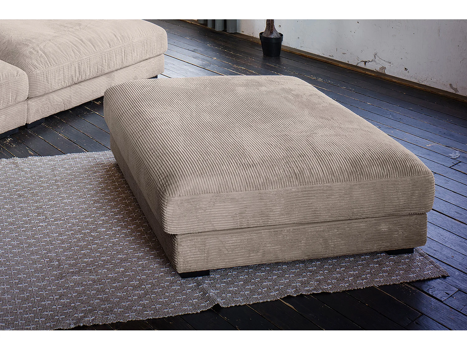 Big - taupe Velours côtelé - MADELINE