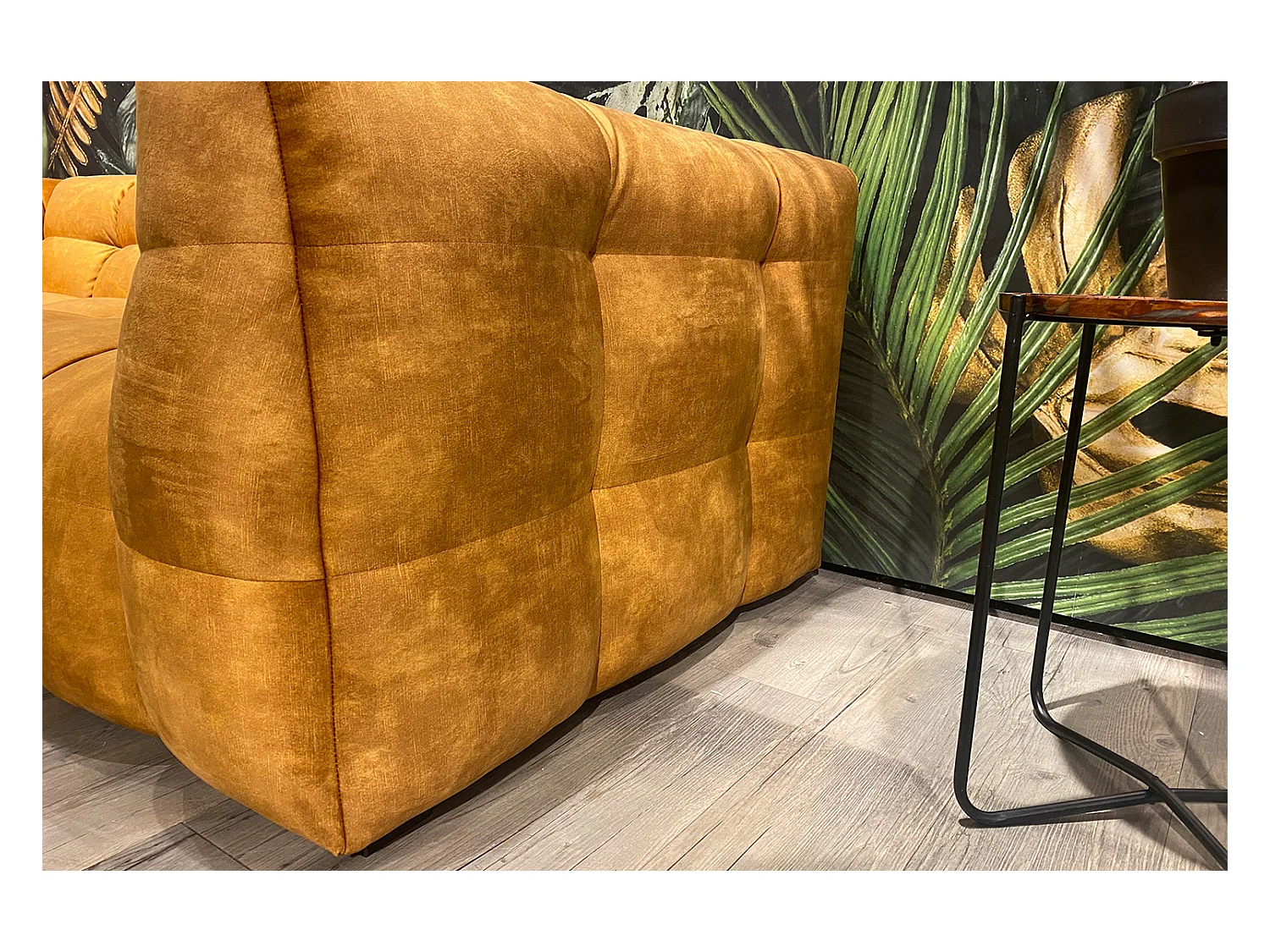 RIO - Goud Fluweel - ROSARIO