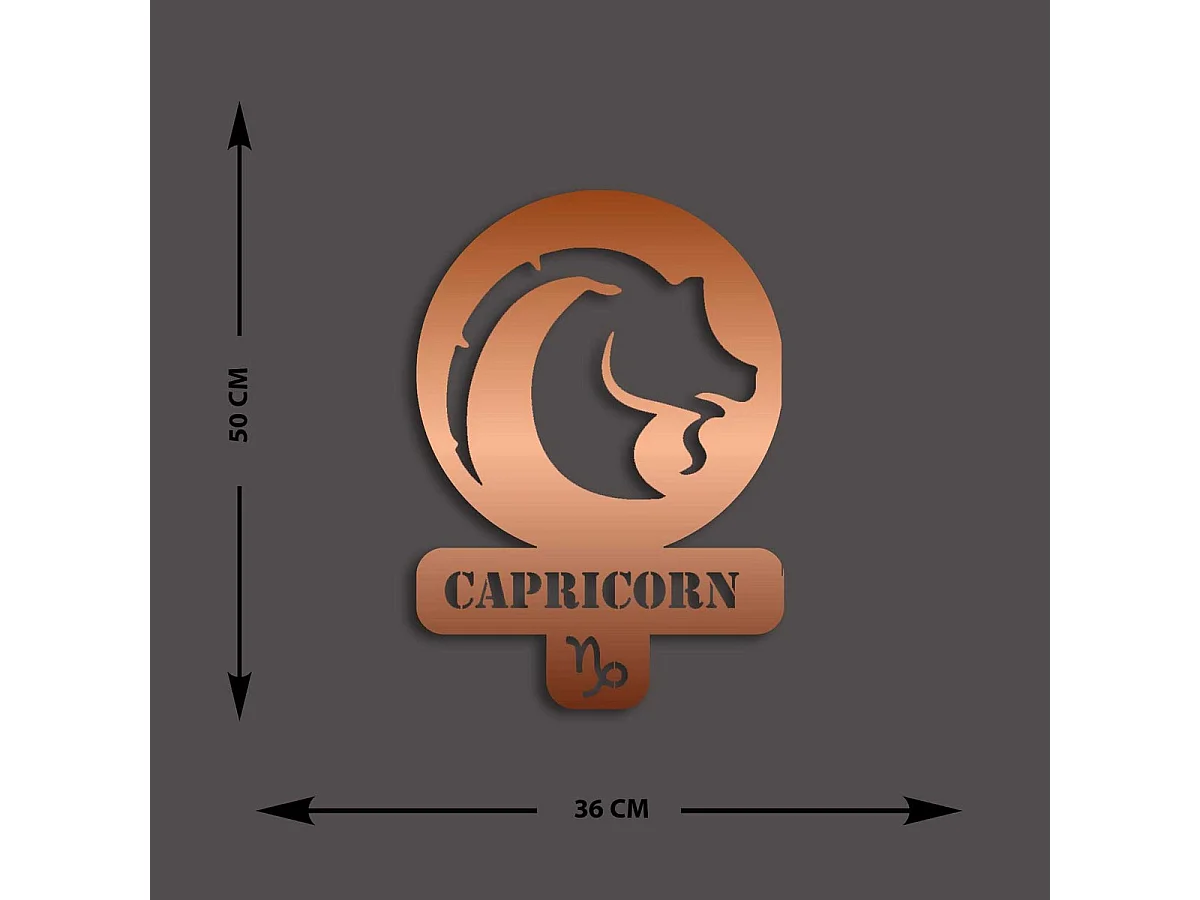 Decoração em Metal Horóscopo Capricórnio 4, Cobre, 36x0,15x50 cm, EPIKASA