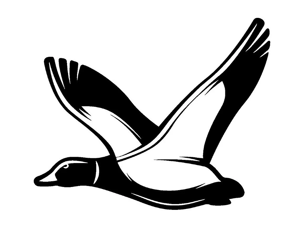 Decoração em Metal Pato, Preto, 49x0,15x40 cm, EPIKASA